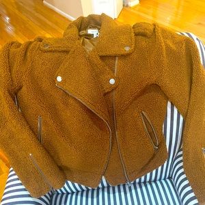 Max studio, teddy jacket. Size small (fits size 6 bust up to 34d)